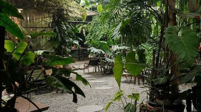 8 quán cà phê sân vườn để tận hưởng thu Hà Nội