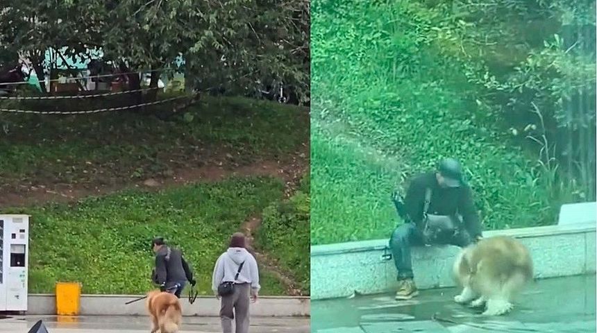 Người đánh chó ở quảng trường Đà Lạt bị phạt 2 triệu đồng