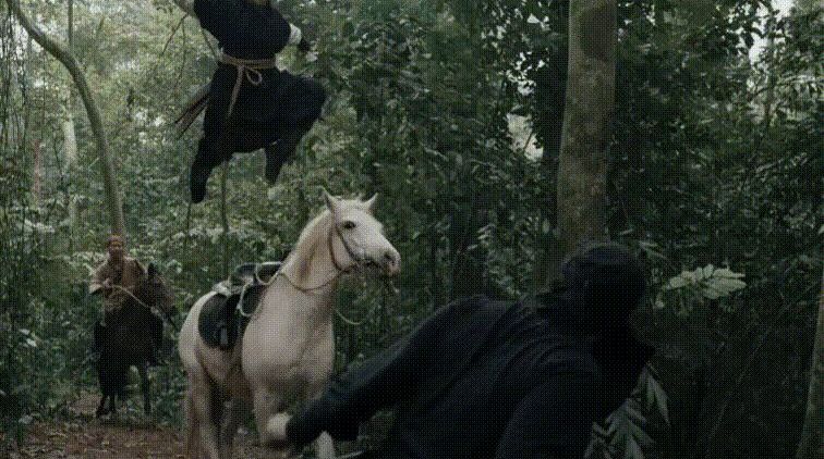 Cú ngã của 'Hộ linh tráng sĩ'