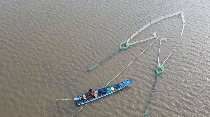 Săn cá trên đồng mùa nước nổi miền Tây