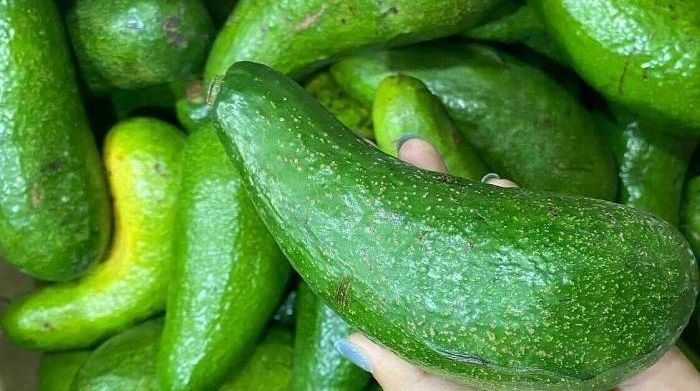 Ba sai lầm thường gặp khi giảm mỡ nội tạng