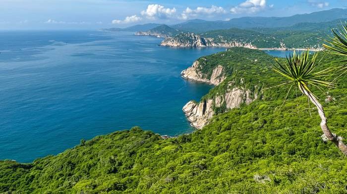 Vườn quốc gia Núi Chúa cho thuê hơn 870 ha môi trường rừng làm du lịch