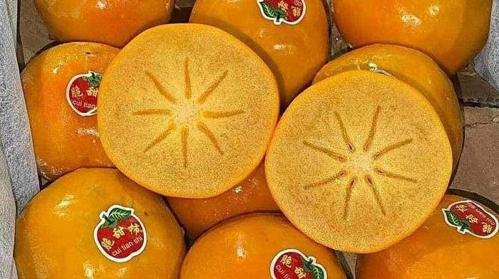 Hồng giòn socola Trung Quốc giá 'rẻ chưa từng có'