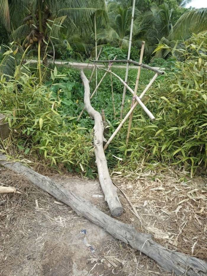 Lối qua kênh do người dân dựng tạm bằng thân cây và tre tại ấp Mỹ Thành. Ảnh: Nguyễn Trúc Phương