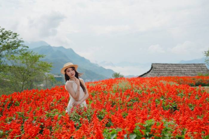 Du khách check-in vườn hoa xác pháo. Ảnh: Sun Group