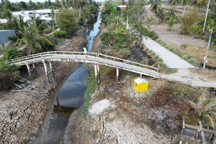 Hạn mặn Cà Mau năm 2024. Ảnh: Thanh Tùng