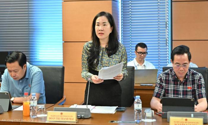 Đại biểu Đoàn Thị Thanh Mai, Phó chủ nhiệm Ủy ban Kinh tế và Tài chính, phát biểu tại phiên họp tổ. Ảnh: Cổng TTĐT Quốc hội