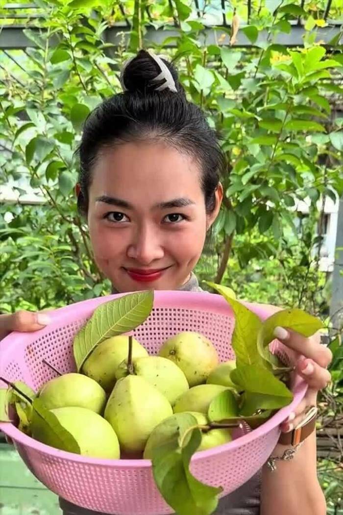 Diệp Bảo Ngọc thu hoạch trái cây vườn sân thượng