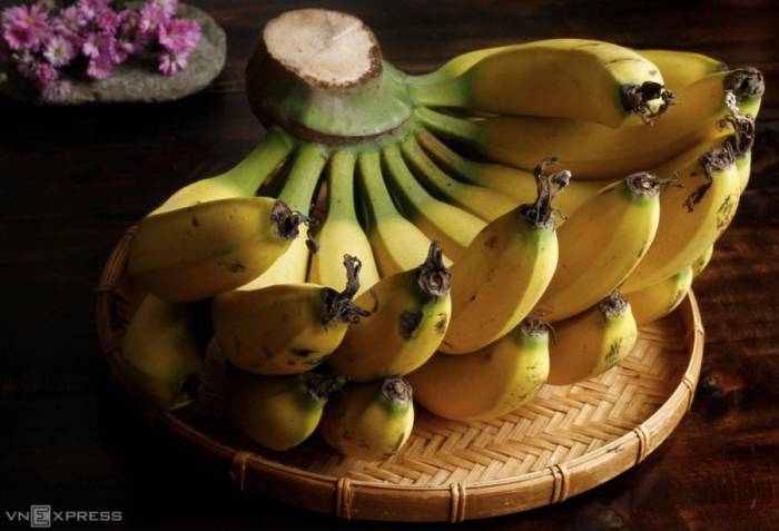 Chuối được biết đến với công dụng hỗ trợ tiêu hóa, nhuận tràng và kiểm soát huyết áp. Ảnh: Bùi Thủy