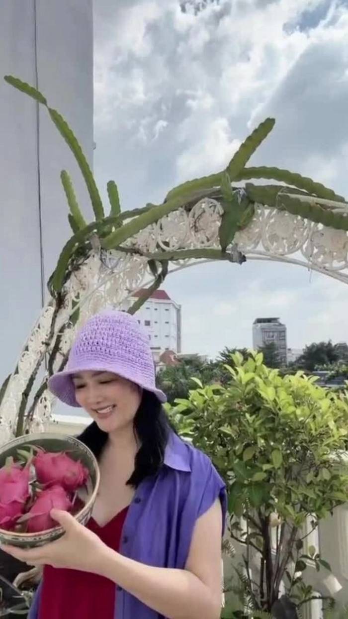 Giáng My hái thanh long trong vườn nhà