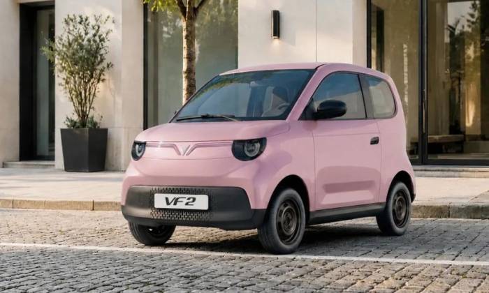VinFast VF 2 bán tại Việt Nam. Ảnh: VinFast