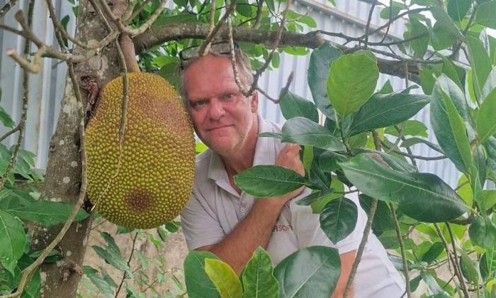 Danny Haberer khoe quả mít trong vườn nhà ở Gò Công, tháng 8/2026. Ảnh: Nhân vật cung cấp