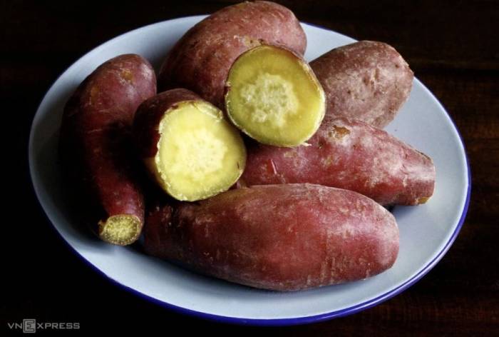 Khoai lang cung cấp chất xơ, có thể bổ sung vào bữa sáng để hỗ trợ sức khỏe đường ruột. Ảnh minh họa: Bùi Thủy