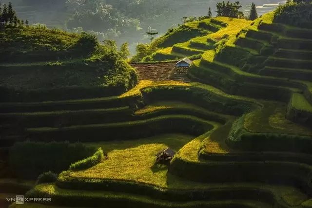 Nam-khoa-1787333331.webp