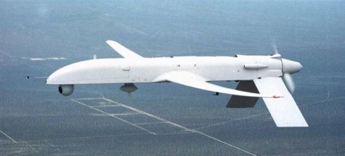 UAV General Atomics Gnat. Ảnh: USAF