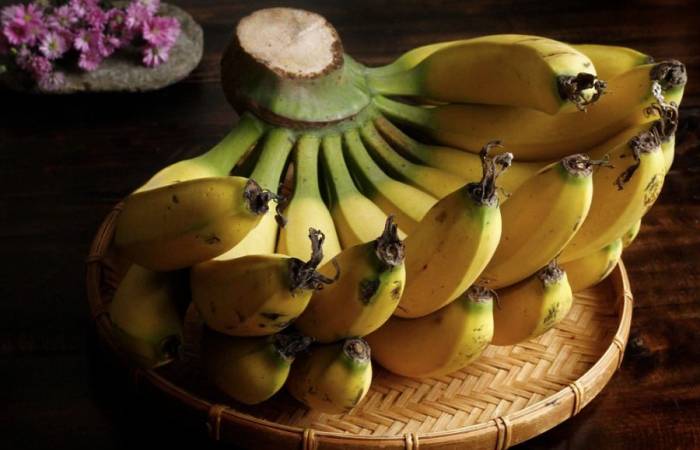 Chuối được mệnh danh là viên thuốc ngủ bọc vỏ trái cây. Ảnh: Bùi Thủy