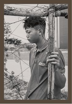 Học sinh đứng bên hàng rào