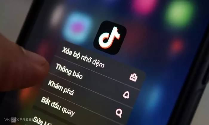 TikTok là mạng xã hội được nhiều người yêu thích nhất tại Việt Nam, theo báo cáo Digital 2026 Vietnam. Ảnh: Lưu Quý
