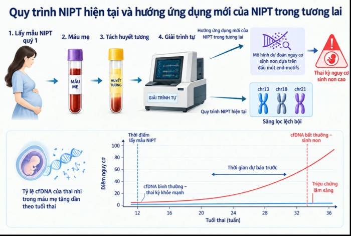 Ảnh quy trình NIPT do nhóm nghiên cứu cung cấp