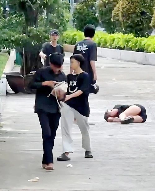 Nhóm lang thang đánh người cướp túi xách. Ảnh: Cắt từ video