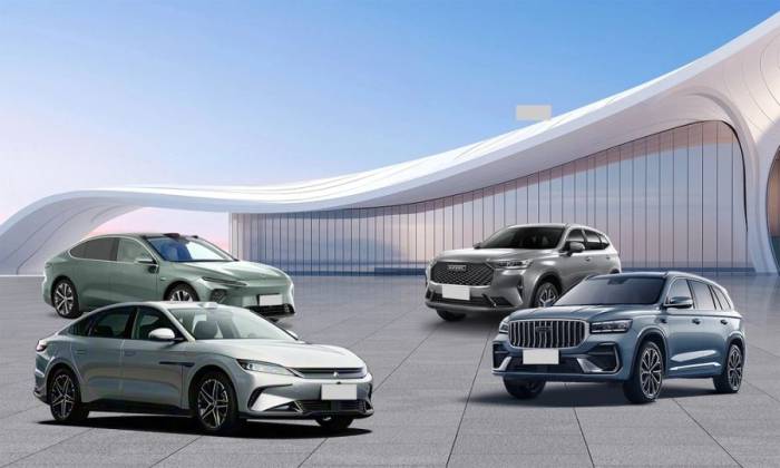 Các mẫu xe của các thương hiệu Trung Quốc gồm Nio, BYD, Geely, Haval. Ảnh: YD Chinaauto