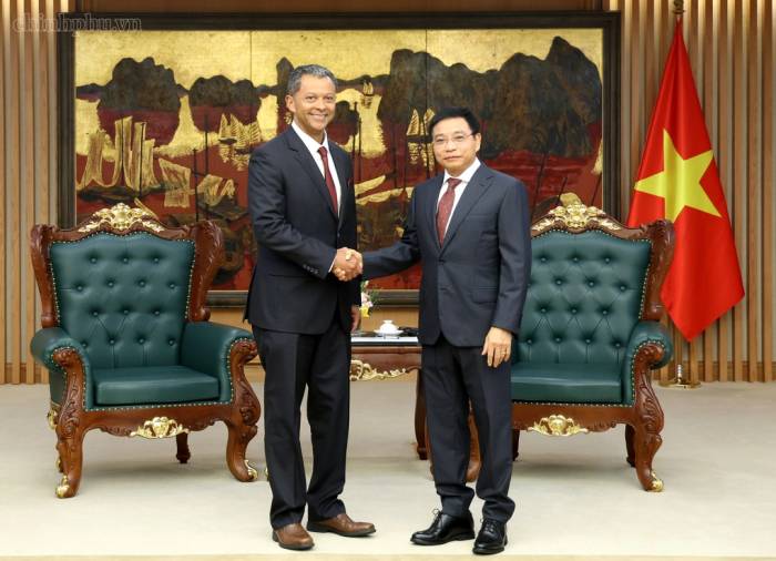 Phó thủ tướng Nguyễn Văn Thắng tiếp ông Linh Austin, Chủ tịch kiêm Giám đốc điều hành của Công ty R3 Lithium. Ảnh: VGP