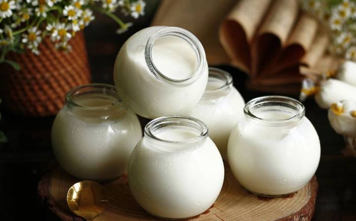 Sữa chua giàu lợi khuẩn, hỗ trợ tiêu hóa. Ảnh: Bùi Thủy