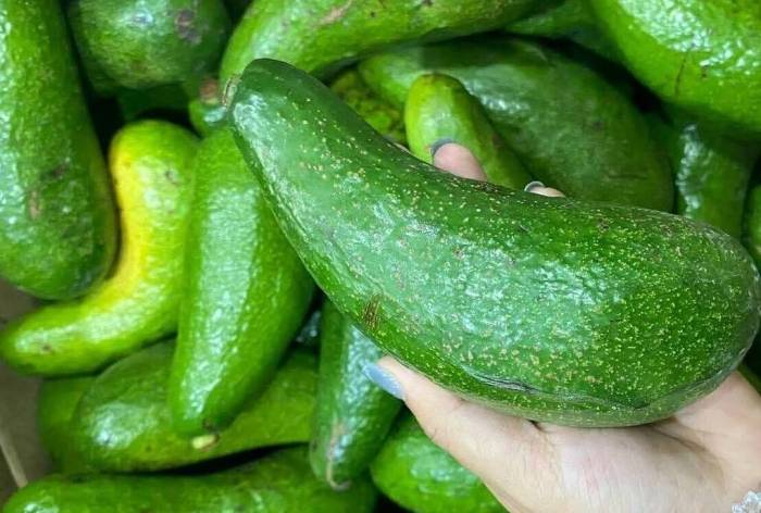 Quả bơ chứa chất béo có lợi cho não. Ảnh: Anh Chi