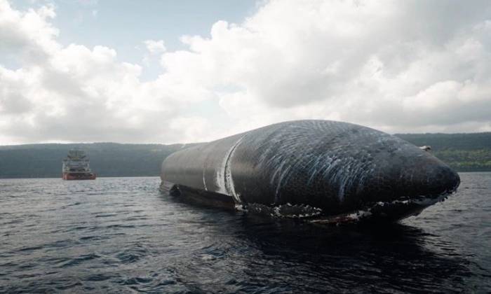 Tàu Ship 40 nổi trên vùng biển lặng gần đảo Giáng sinh. Ảnh: SpaceX