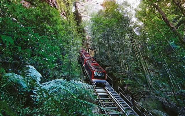 BM-Railway-in-forest-landscape-6080-2980
