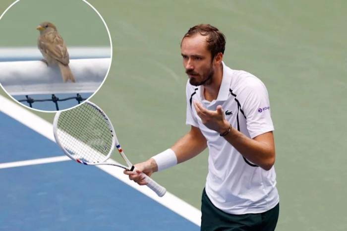 Daniil Medvedev tranh cãi với trọng tài sau khi hai chú chim bất ngờ đậu trên lưới trong trận gặp Sebastian Gorzny ở vòng hai Mỹ Mở rộng 2026, trên sân Louis Armstrong, New York hôm 2/9. Ảnh: X