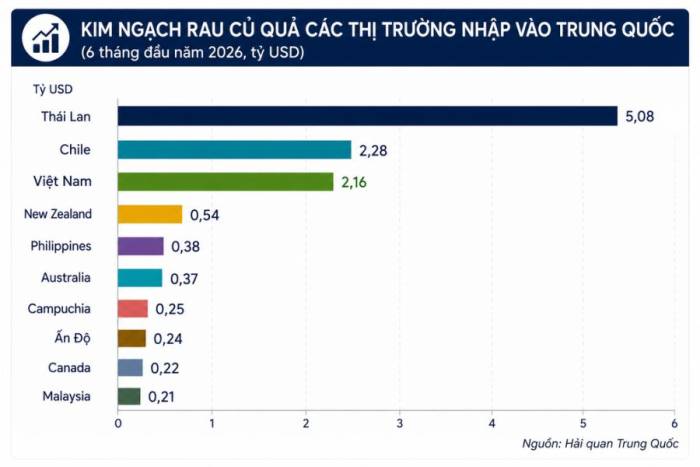 Đồ hoạ có sự hỗ trợ của AI