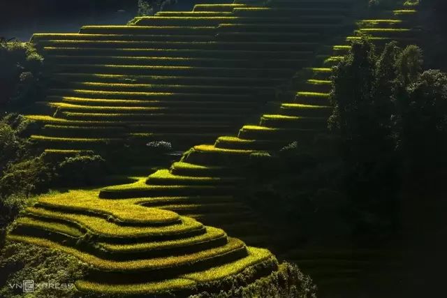 Nam-Khoa1-1787333331.webp