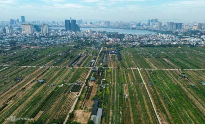 Đất trồng trọt ngoài đê sông Hồng, nhìn từ phía sông về Hồ Tây. Ảnh: Phạm Chiểu
