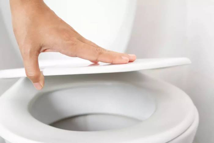 Đóng hay mở nắp bồn cầu vẫn đang là chủ đề gây tranh cãi. Ảnh: Rd