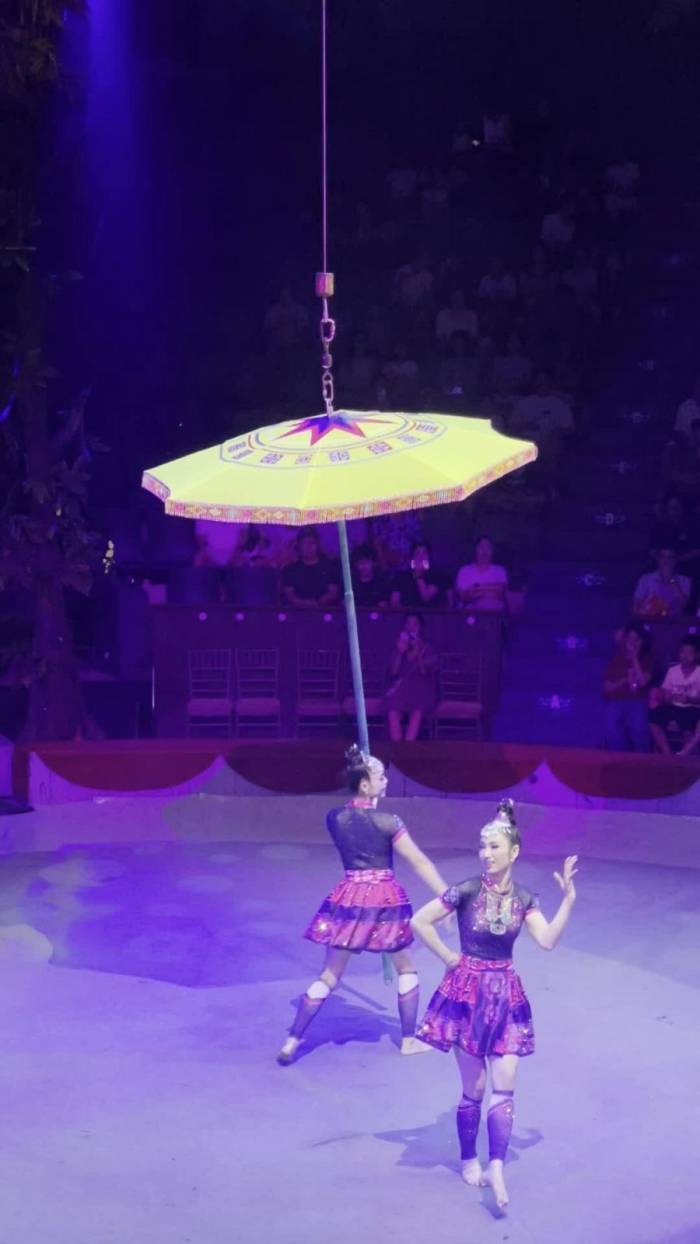 Tiết mục đu dây trong show 'Hào khí Việt Nam'
