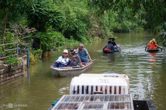 Ngập ngoại thành Hà Nội ngày 18/9. Ảnh: Thế Bằng
