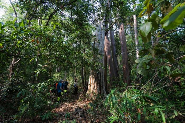 Du khách trekking xuyên VQG Cát Tiên. Ảnh: Oxalis