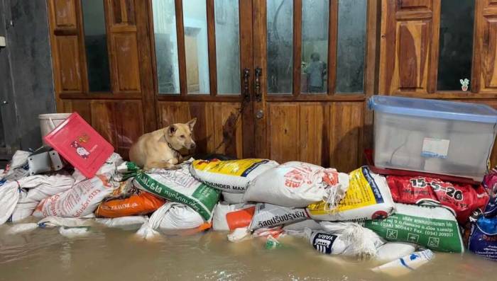 Người dân ở Rayong đắp bao cát ngăn lũ vào nhà. Ảnh: The Pattaya News