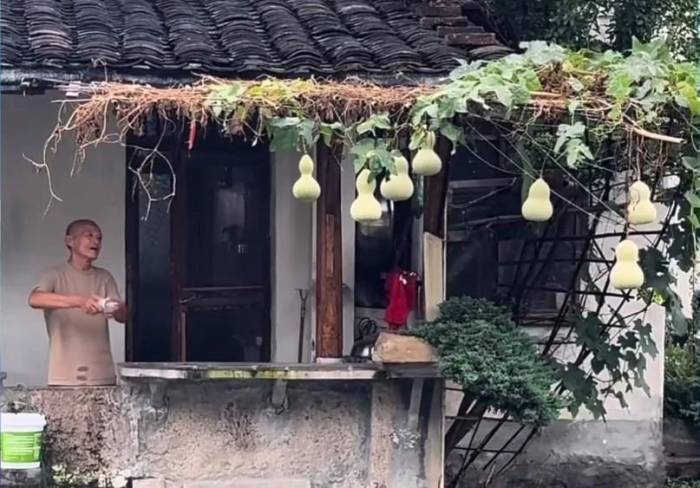 Ông Chen bên giàn hồ lô trước nhà. Ảnh cắt từ video