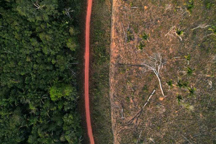 Một phần rừng Amazon bị đốn hạ ở Porto Velho, Brazil, ngày 12/8/2024. Ảnh: Reuters