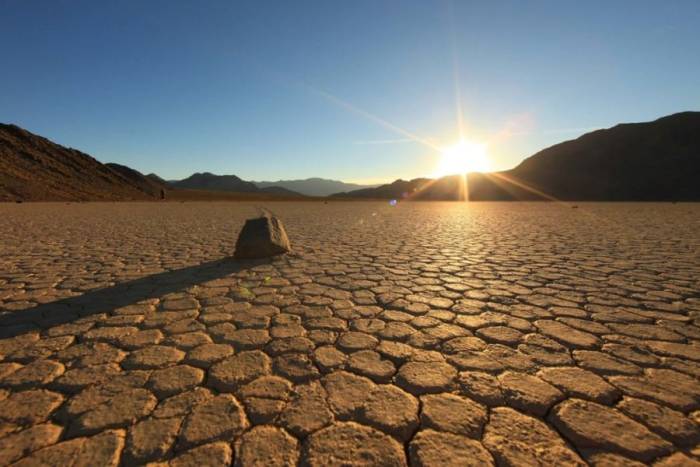 Một con góc thung lũng chết tại Mỹ. Ảnh: Death Valley National Park