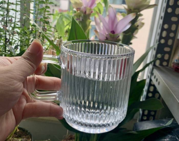 Uống nước buổi sáng tốt cho sức khỏe, hỗ trợ giảm cân. Ảnh: Đức Hạnh