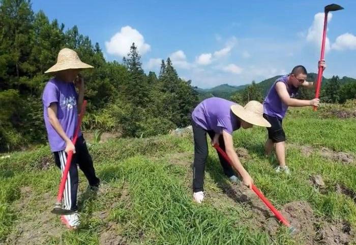 Trẻ đào khoai trong một trại hè khổ luyện ở Trung Quốc. Ảnh: Stheadlight