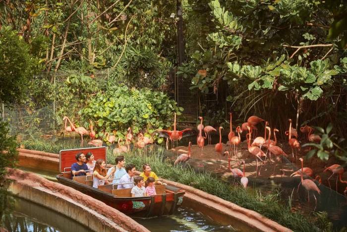 Du khách quan sát các loài động vật và chim quý hiếm bằng thuyền tại River Wonders. Ảnh: Mandai Wildlife Reserve