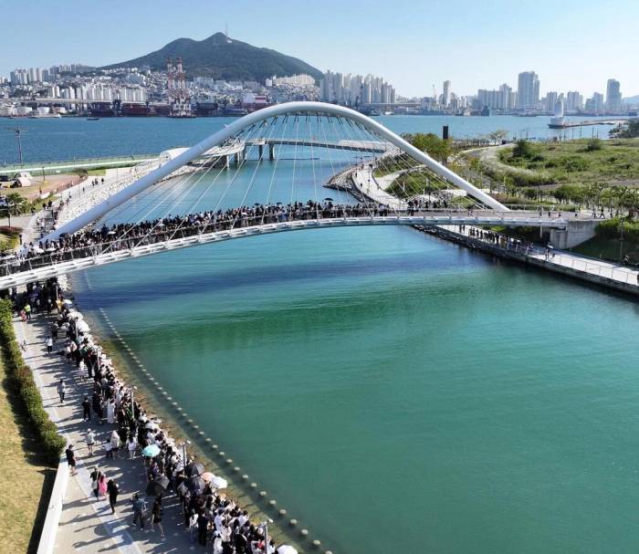 Người dân tập trung xem cá mập hôm 20/9. Ảnh: Yonhap