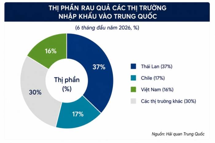 Đồ hoạ có sự hỗ trợ của AI