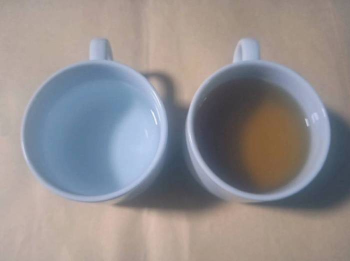 Bác sĩ Hung gợi ý phương pháp bù nước 1:1 để uống trà khoa học, đồng thời tuân thủ nguyên tắc uống trà xen kẽ nước lọc. Ảnh: Tang Chao-tsun