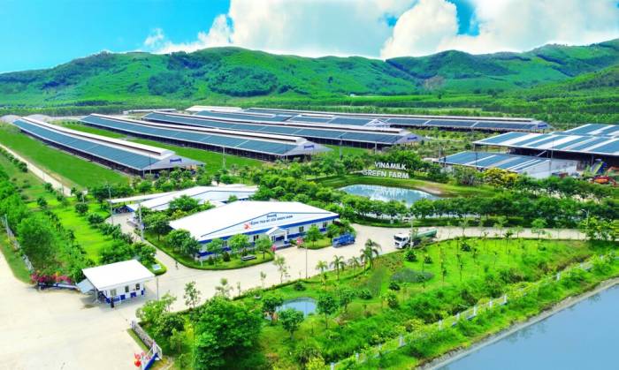 Không ngừng nâng chuẩn tiếp tục được đặt vào những bài toán mới về phát triển bền vững. Ảnh: Vi Nam