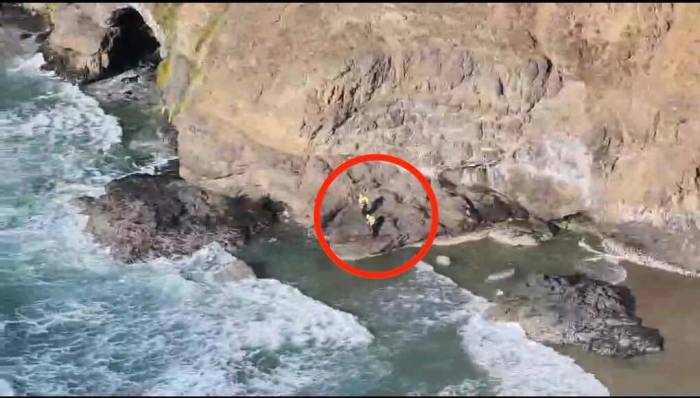 Địa điểm 3 du khách bị mắc kẹt. Ảnh: Netarts-Oceanside Fire District